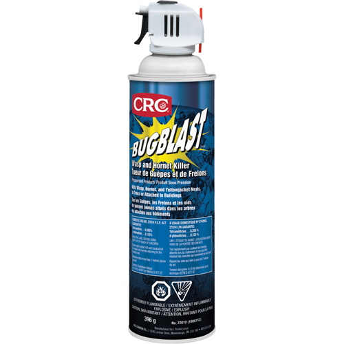 Insecticide Bug Blast, 397 g, &agrave; base de solvant Seagulf Marine Industries Inc.