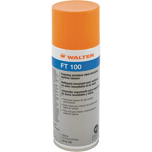 FT 100 Industrial Cleaner, Aerosol Can Seagulf Marine Industries Inc.