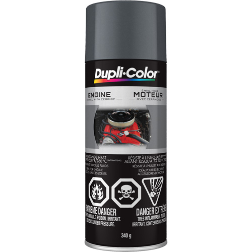 Peinture &agrave; &eacute;mail avec c&eacute;ramique pour moteur, Fonte grise, Tr&egrave;s brillant, 12 oz, Canette a&eacute;rosol Seagulf Marine Industries Inc.