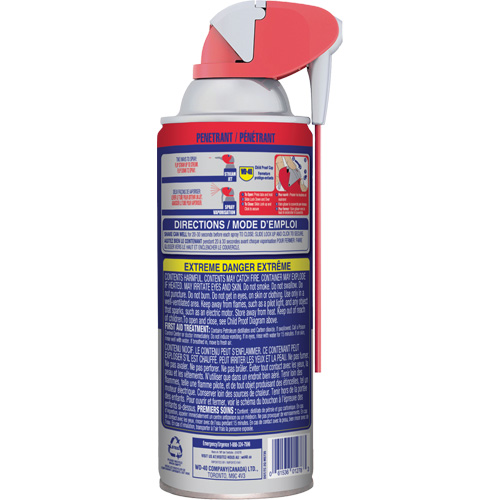 Rust Release Penetrant, Aerosol Can, 311 g Seagulf Marine Industries Inc.