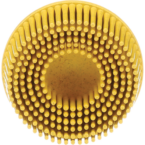 Disques &agrave; soies Roloc Scotch-Brite, Grain 80, 2" dia. Seagulf Marine Industries Inc.