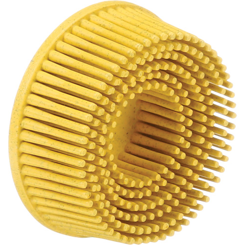 Disques &agrave; soies Roloc Scotch-Brite, Grain 80, 2" dia. Seagulf Marine Industries Inc.