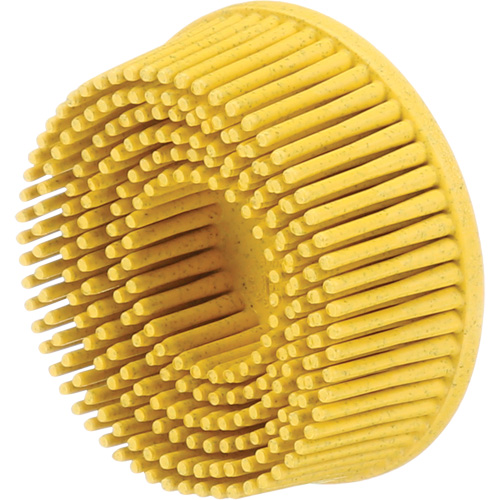 Disques &agrave; soies Roloc Scotch-Brite, Grain 80, 2" dia. Seagulf Marine Industries Inc.