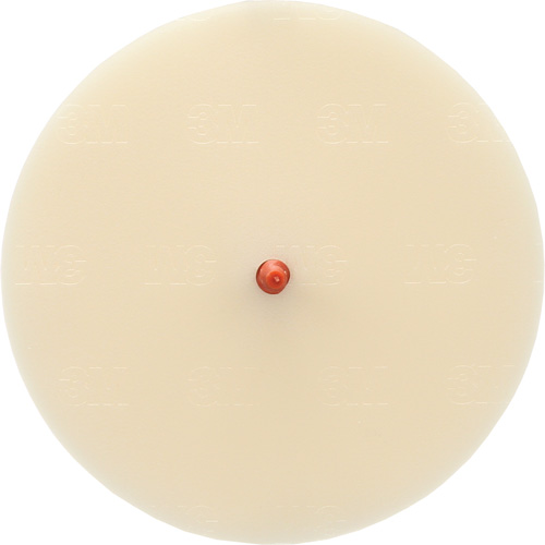 Scotch-Brite Moulding Adhesive and Stripe Removal Disc 7502, 6" Dia. Seagulf Marine Industries Inc.