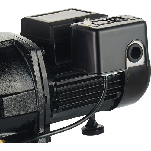 Pompe &agrave; jet en fonte &agrave; double tension pour puit peu profond, 115 V/230 V, 1100 gal./h, 1 CV Seagulf Marine Industries Inc.
