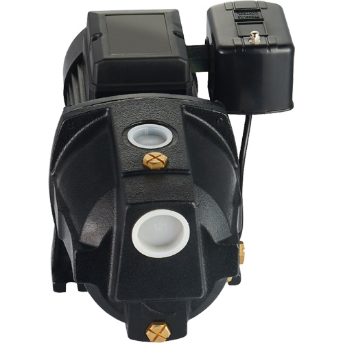 Pompe &agrave; jet en fonte &agrave; double tension pour puit peu profond, 115 V/230 V, 1100 gal./h, 1 CV Seagulf Marine Industries Inc.