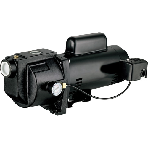 Pompe &agrave; jet en fonte &agrave; double tension pour puit peu profond, 115 V/230 V, 1260 gal./h, 1 CV Seagulf Marine Industries Inc.