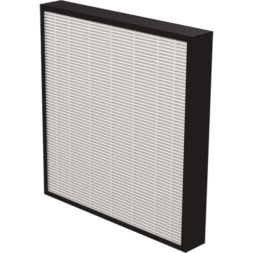 V&eacute;ritables filtres HEPA AeraMax Pro AM3 & AM4 2", Boîte, 13,75" la x 2,25" p x 14,38" h Seagulf Marine Industries Inc.