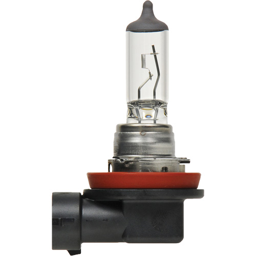 H8 Basic Headlight Bulb, Halogen, 35 W, Off White Seagulf Marine Industries Inc.