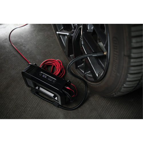 Compresseur d'air portable de 20 A Seagulf Marine Industries Inc.
