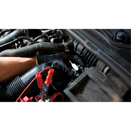 Tall Frame Brake-Pro Pressure Brake Bleeder with Adapters Seagulf Marine Industries Inc.