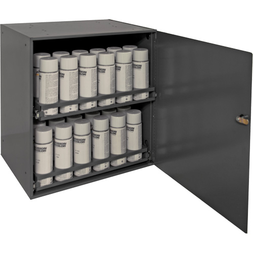 Armoire de rangement pour contenants a&eacute;rosol, Acier, 21-7/8" h x 15-15/16" la x 20-5/16" P, Gris Seagulf Marine Industries Inc.