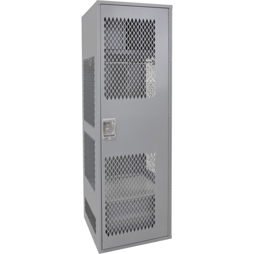 Casier pour &eacute;quipement avec porte, Acier, 24" la x 24" p x 72" h, Gris Seagulf Marine Industries Inc.