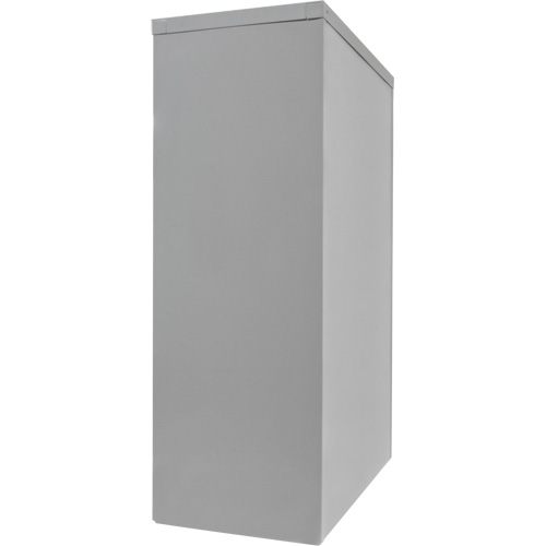 Counter-High Storage Cabinet, Steel, 2 Shelves, 42" H x 48" W x 24" D, Grey Seagulf Marine Industries Inc.