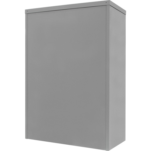 Counter-High Storage Cabinet, Steel, 2 Shelves, 42" H x 48" W x 24" D, Grey Seagulf Marine Industries Inc.