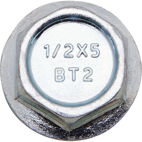 Wedge Bolts, Carbon Steel, 1/2" x 2-1/2" Seagulf Marine Industries Inc.