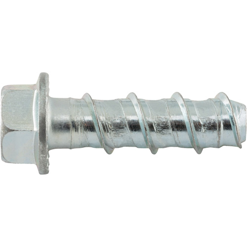 Wedge Bolts, Carbon Steel, 1/2" x 2" Seagulf Marine Industries Inc.