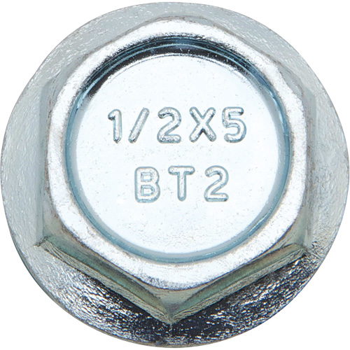 Wedge Bolts, Carbon Steel, 1/2" x 2" Seagulf Marine Industries Inc.