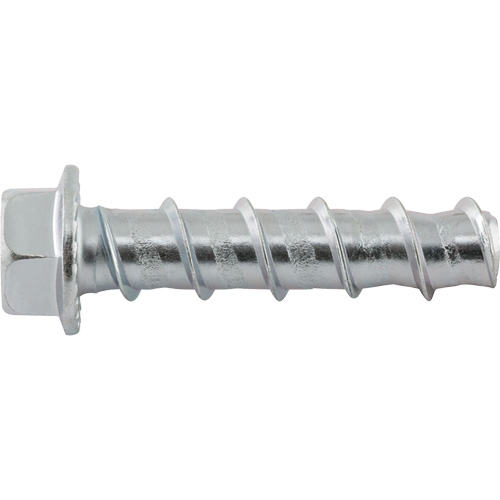 Wedge Bolts, Carbon Steel, 1/2" x 2-1/2" Seagulf Marine Industries Inc.
