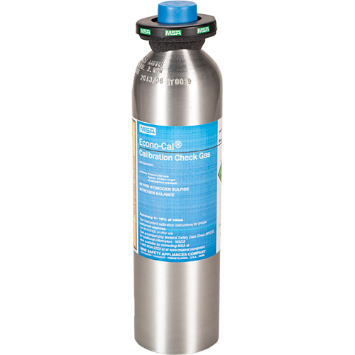 Calibration Testing Gas Cylinder, 1 Gas Mix, H2S, 58 Litres Seagulf Marine Industries Inc.
