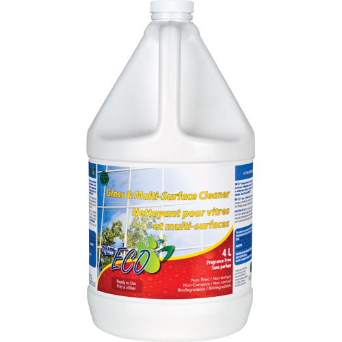 Nettoyant pour vitres & pour toutes surfaces, 4 L, Cruche Seagulf Marine Industries Inc.
