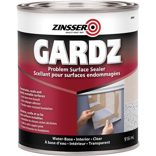 Scellant de surface &agrave; probl&egrave;mes Gardz, 3,61 L, Canette, Transparent Seagulf Marine Industries Inc.