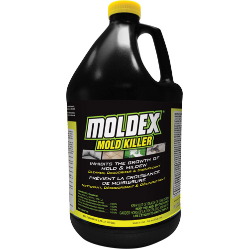 D&eacute;sinfectant contre les moisissures Moldex, 3,78 L, Cruche Seagulf Marine Industries Inc.