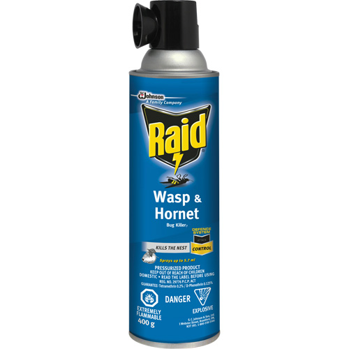 Insecticide contre les gu&ecirc;pes et les frelons Raid, 400 g, &agrave; base de solvant Seagulf Marine Industries Inc.