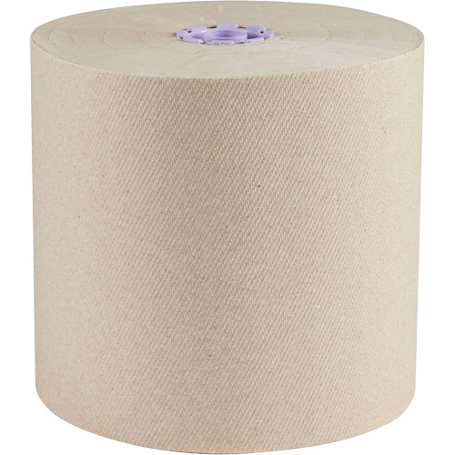 Essential 100% Recycled Brown Hard Roll Towels, 1 Ply, Standard, 700' L Seagulf Marine Industries Inc.