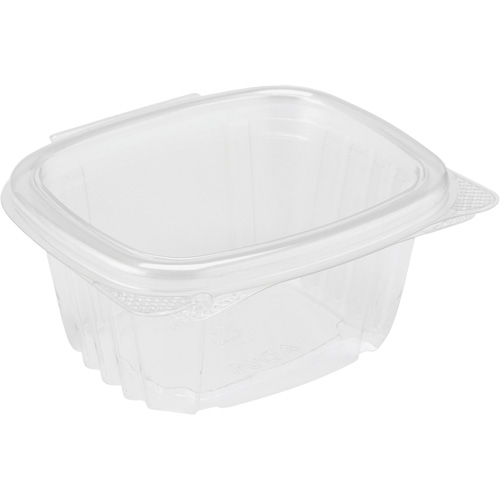 Hinged Lid Deli Container, Plastic Seagulf Marine Industries Inc.