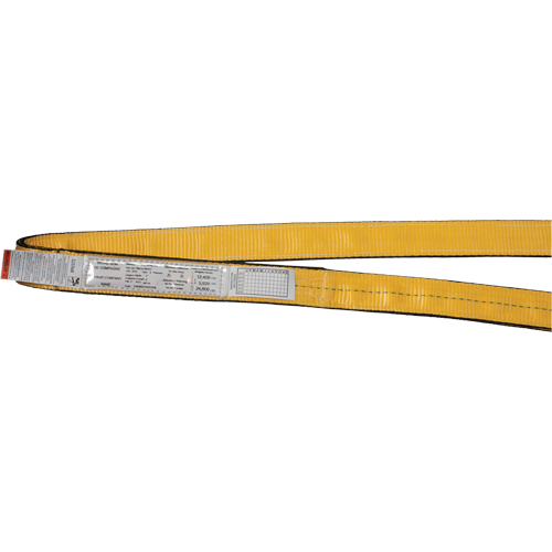 &eacute;lingues de levage en nylon, Pli Double, Sans fin, Type 5, 4" la x 3' lo, Limite de charge verticale 22000 lb Seagulf Marine Industries Inc.