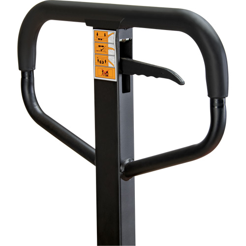 Manual Pallet Truck, Steel, 48" L x 21" W, 5500 lbs. Capacity Seagulf Marine Industries Inc.