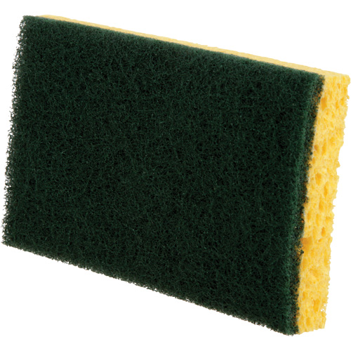 &eacute;ponges utilitaires, Cellulose, 6" la x 3-1/2" l Seagulf Marine Industries Inc.