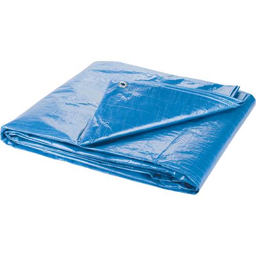 Tarp, Standard Duty, Blue, 7' x 5' x 4 mils Seagulf Marine Industries Inc.
