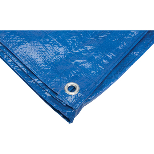 Tarp, Standard Duty, Blue, 7' x 5' x 4 mils Seagulf Marine Industries Inc.