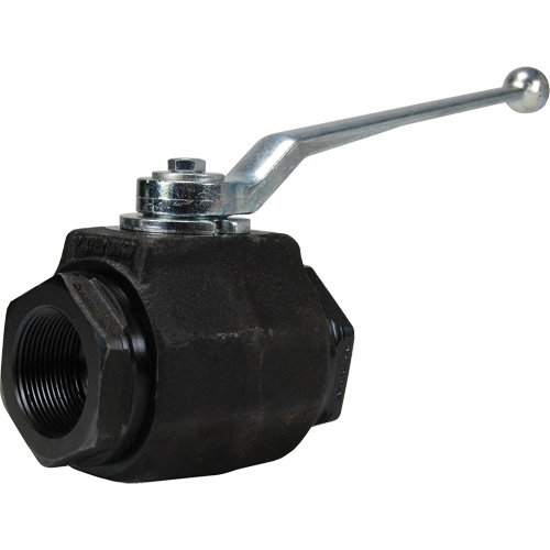 High Pressure Full-Bore Ball Valve, Steel, Manual, FNPT x FNPT Seagulf Marine Industries Inc.