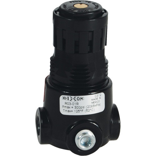 Wilkerson Miniature Regulator R03, 1/8" NPT, 300 psi Max. PSI, Standard Seagulf Marine Industries Inc.