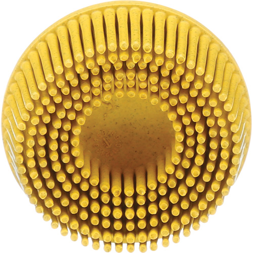 Scotch-Brite Roloc Bristle Disc, Ceramic, Medium Grit, 2" Dia. Seagulf Marine Industries Inc.