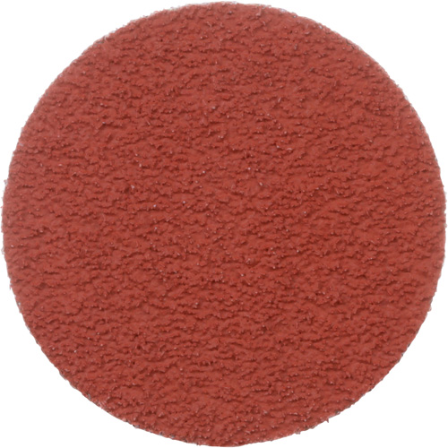 Disque &agrave; d&eacute;ligner durable II Roloc Cubitron, 2" dia., Grain 60+, C&eacute;ramique Seagulf Marine Industries Inc.