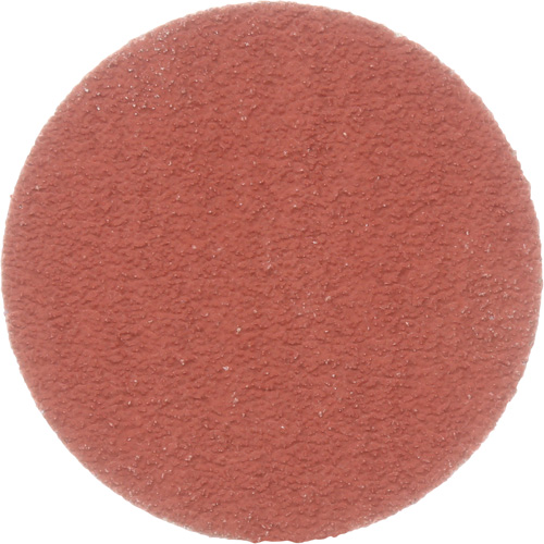 Disque &agrave; d&eacute;ligner durable II Roloc Cubitron, 2" dia., Grain 80+, C&eacute;ramique Seagulf Marine Industries Inc.