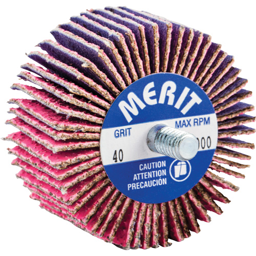 Threaded Mini Flap Wheel, Ceramic Alumina, 40 Grit, 2" x 1" x 1/4"-20 Seagulf Marine Industries Inc.