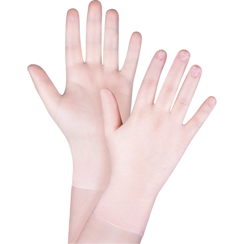 Disposable Gloves, Medium, Vinyl, 4.5-mil, Powder-Free, Clear, Class 2 Seagulf Marine Industries Inc.