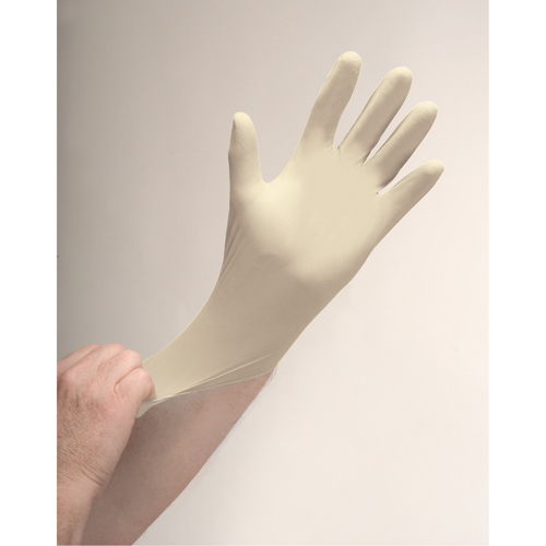 Gants d'examen de premi&egrave;re qualit&eacute; pour peau sensible, T-Grand, Latex, 4 mils, Poudr&eacute;s, Naturel Seagulf Marine Industries Inc.