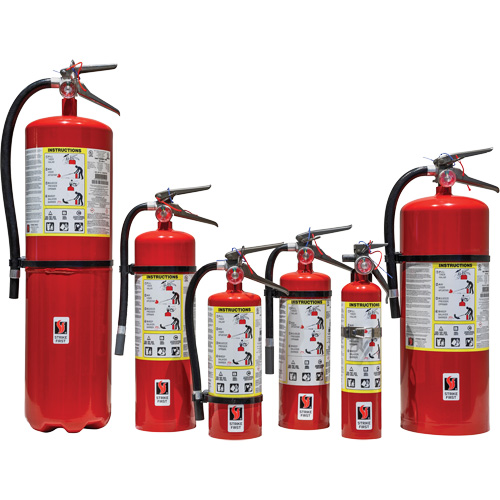 Extincteur d'incendie, ABC, Capacit&eacute; 30 lb Seagulf Marine Industries Inc.