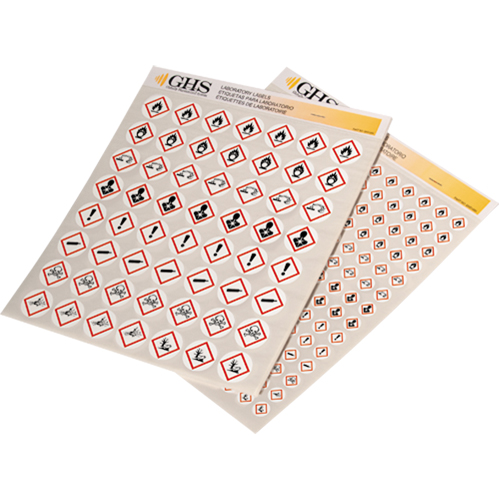 GHS Hazard Pictogram Label Variety Packs, Vinyl, Sheet, 1" L x 1" W Seagulf Marine Industries Inc.