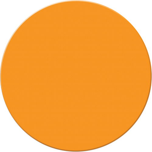 Marqueurs all&eacute;g&eacute;e/5S Armor Stripe, Cercle, 6" lo x 6" la, Orange, Plastique Seagulf Marine Industries Inc.