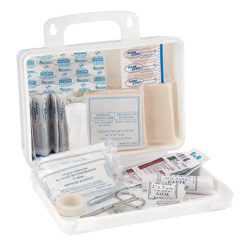 Trousse de premiers soins pour camion Dynamic, Dispositif m&eacute;dical Classe 1, Boîte en plastique Seagulf Marine Industries Inc.