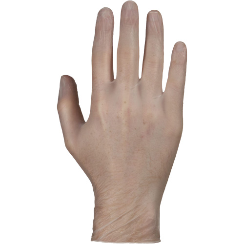 Disposable Gloves, Small, Vinyl, 4-mil, Powder-Free, White Seagulf Marine Industries Inc.