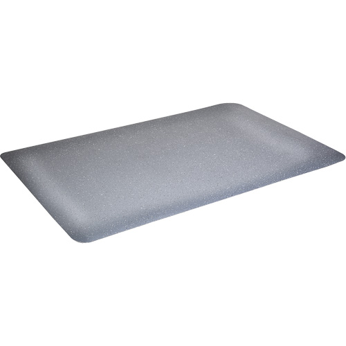 Tapis antimicrobiens WD Foodmaster, Lisse, 3' x 4' x 9/16", Gris, Nitrile/Caoutchouc Seagulf Marine Industries Inc.