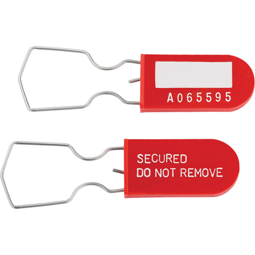 Dynamic Safety Equipment Inspection Tags, Plastic, 1" W x 2-1/4" H, English Seagulf Marine Industries Inc.